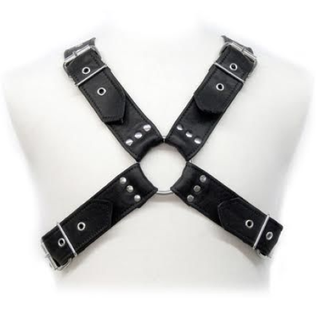 Leather body - buckles harness
