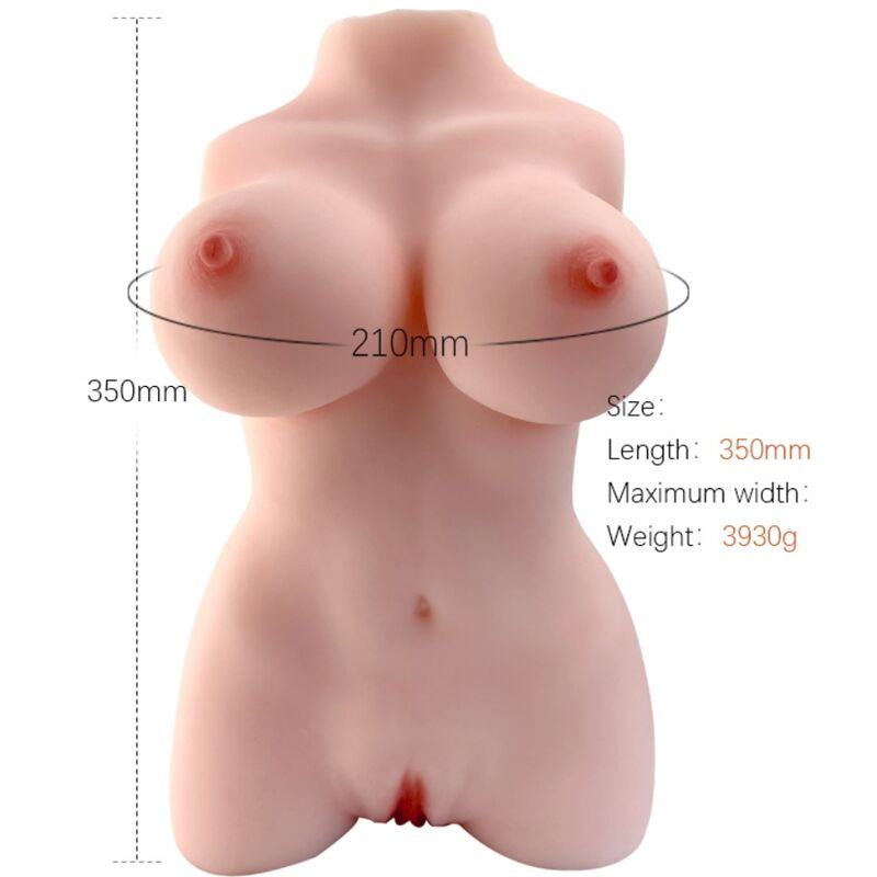 Armony - torso femenino realÍstico modelo 3