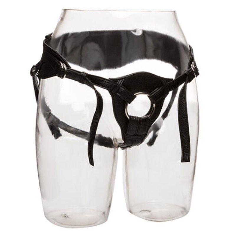 Calexotics - here royal arnÉs the queen talla Única